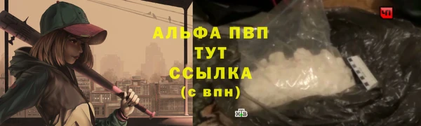 крисы Магадан