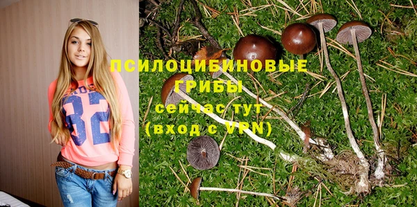 винт Магас