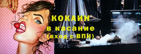 крисы Магадан