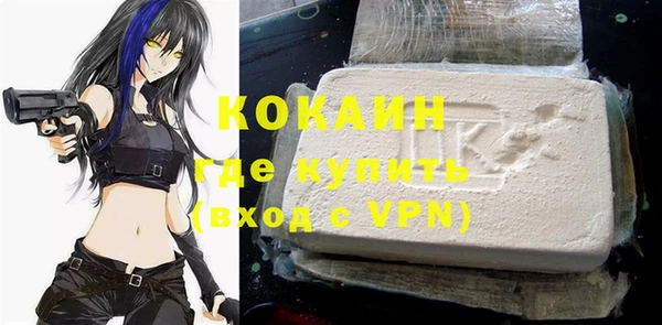 крисы Магадан